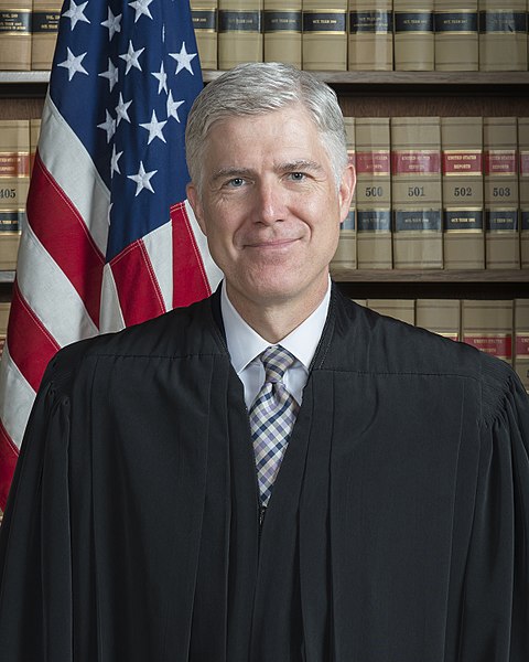 associate justice neil gorsuch official portrait by Franz Jantzen (CC BY-SA)