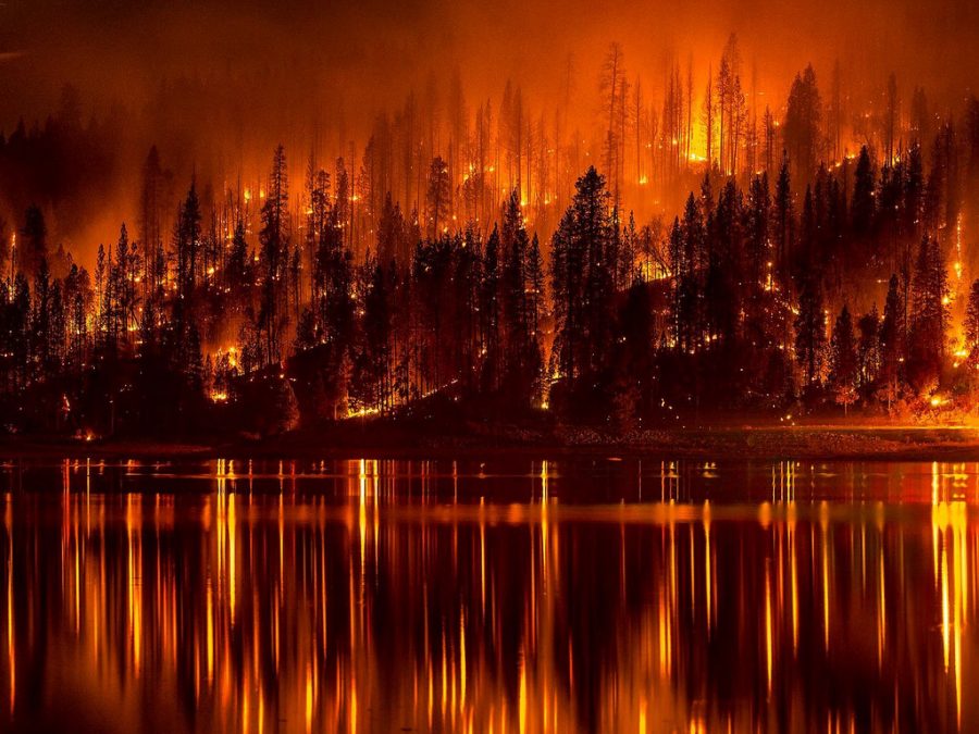 Photo+taken+by+Jeff+Head.+The+rapid+movement+of+the+California+wildfires+spread+through+the+trees.+