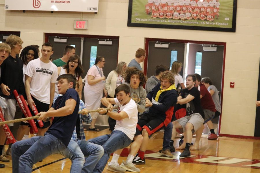 Greek+Games+tug-o-war