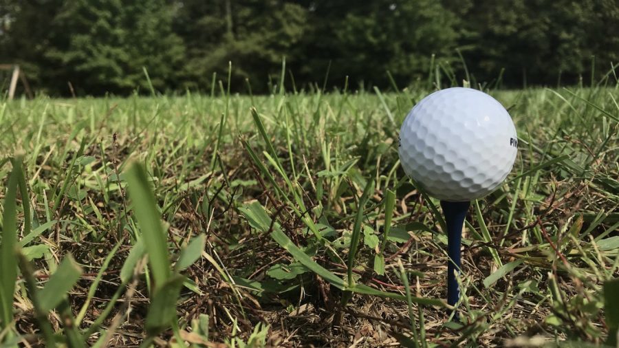 Here is the most essential item needed for a game of golf. The girls golf team have used this and their raw talent to make it to the State Tournament. “The season went pretty good. There were bad days and good days, but golf is always fun that’s why I like it. This year it was more about doing my best but also having fun. I think I did well this season and so did everyone else,” said senior Alyssa Shepherd.
