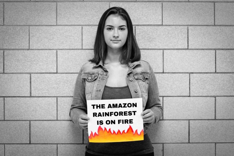 Expressing her passion of protecting the Amazon Rainforest, sophomore Molly Phelps holds up sign to spread awareness of the fire. She believes something should be done to protect the species native in the rainforest. Many of the animals will die and biodiversity will decrease rapidly, said Phelps.