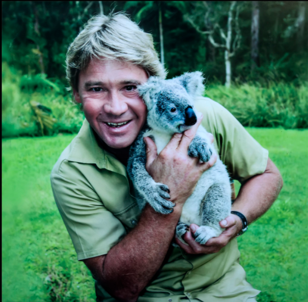 Holding a koala, Steve Irwin at the Australia Zoo. 