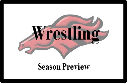 The wrestling team has just started the season, with one tournament under their belt. The team looks to continue success in their next tournament hosted at Bullitt East.
