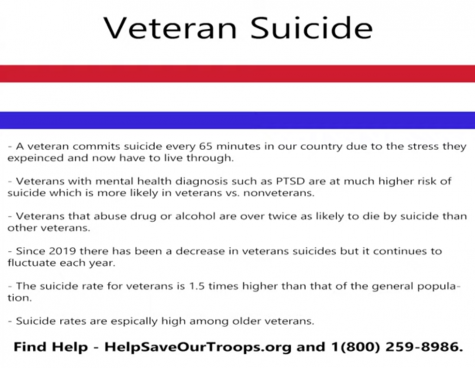 This is a slide found in Charged Media Solutions Veterans Day video shown to the school. Veterans were interviewed during this video sharing their experiences and why Veterans Day is so important. Larry Williams, a teacher here, submitted these facts and stated, My silence will allow them to speak. 