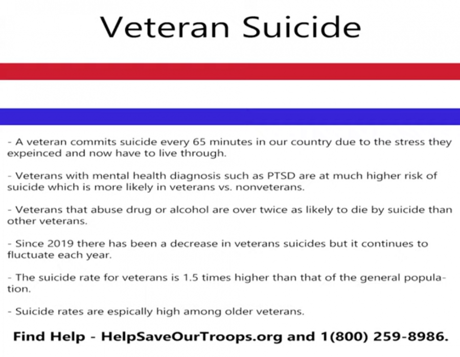 This is a slide found in Charged Media Solutions Veterans Day video shown to the school. Veterans were interviewed during this video sharing their experiences and why Veterans Day is so important. Larry Williams, a teacher here, submitted these facts and stated, My silence will allow them to speak. 