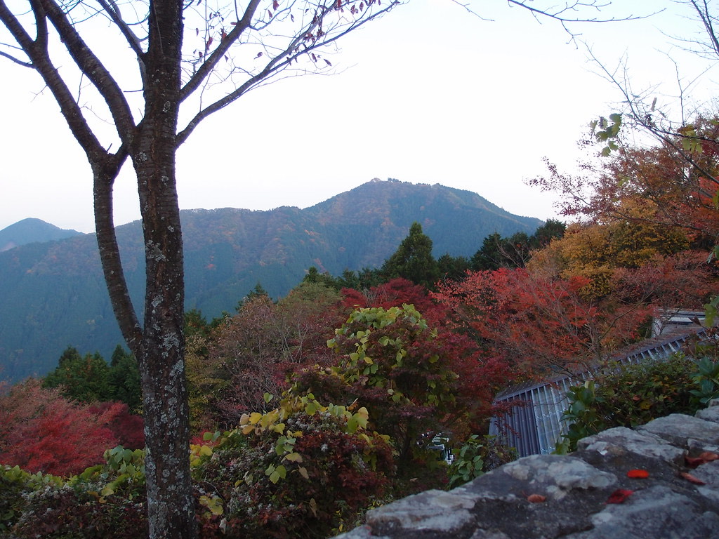 The Mountain Tops of Mount Mitake, where the album cover of "LONG SEASON" was taken.