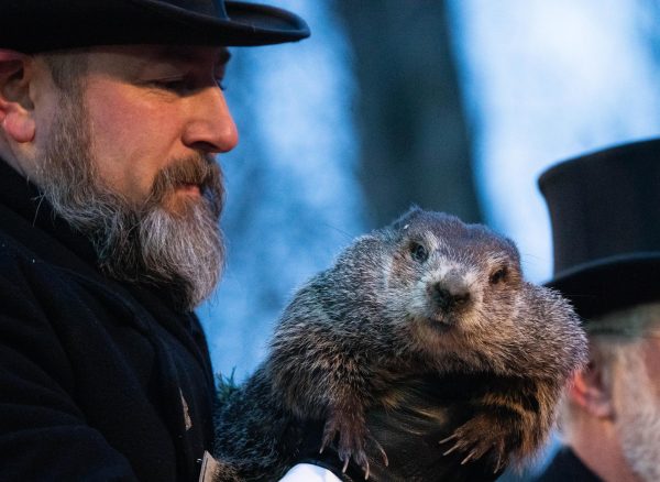 Groundhog Day 2022.  The Groundhog (named Phil) saw his shadow that year.
