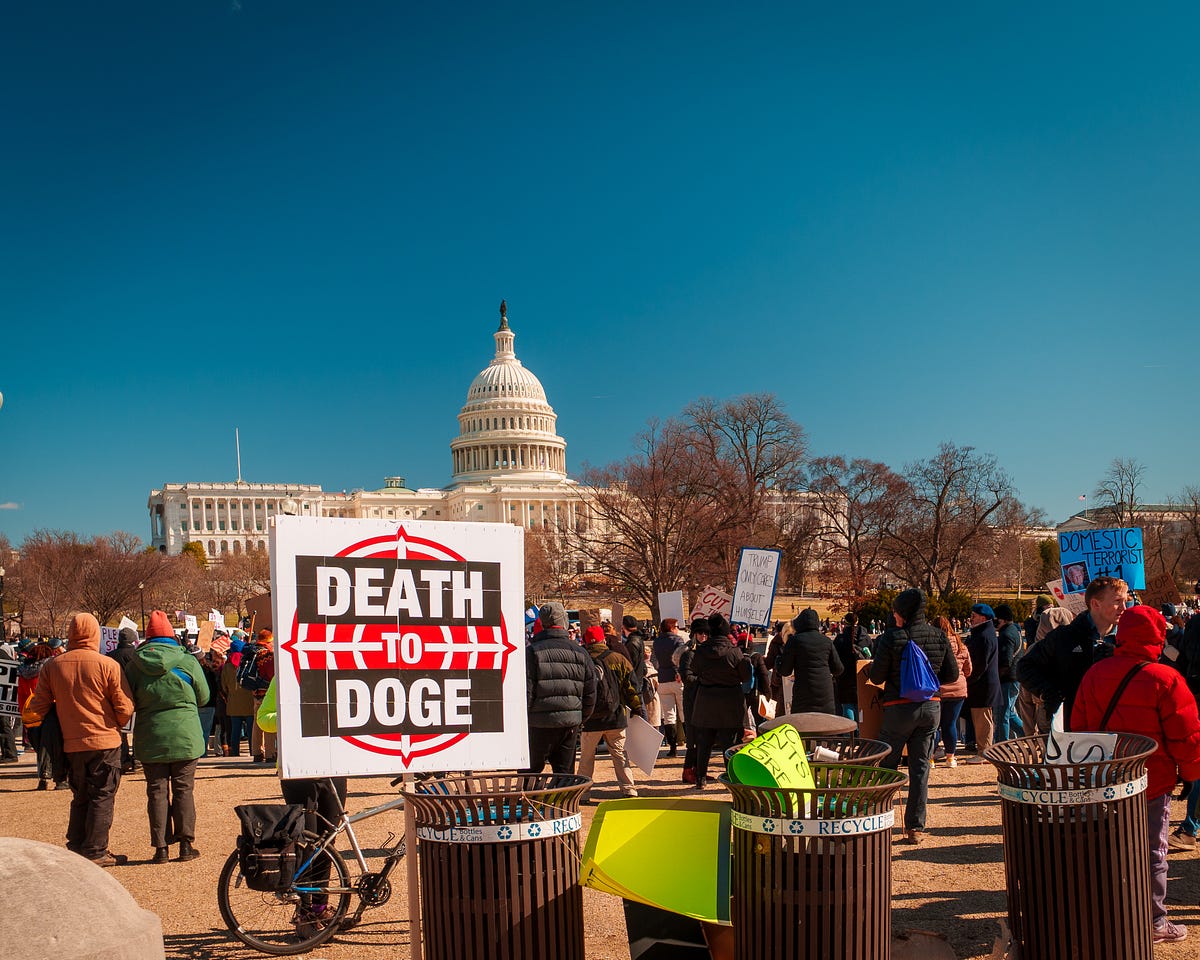 DOGE: What's the Damage?